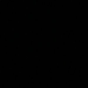 Meet your Posher, Cece